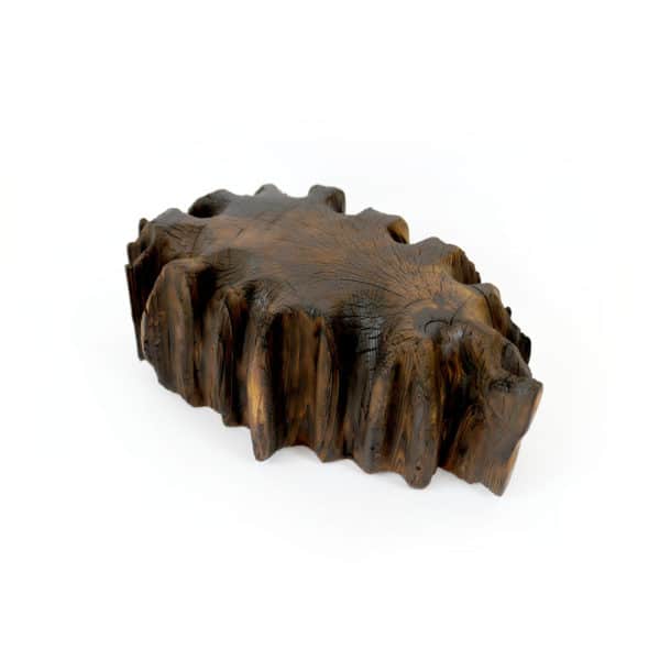 Bûche Sacrée # L4 – Image 3