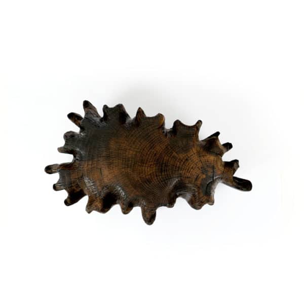 Bûche Sacrée # L4 – Image 5