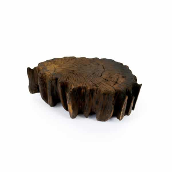 Bûche Sacrée # L4 – Image 7