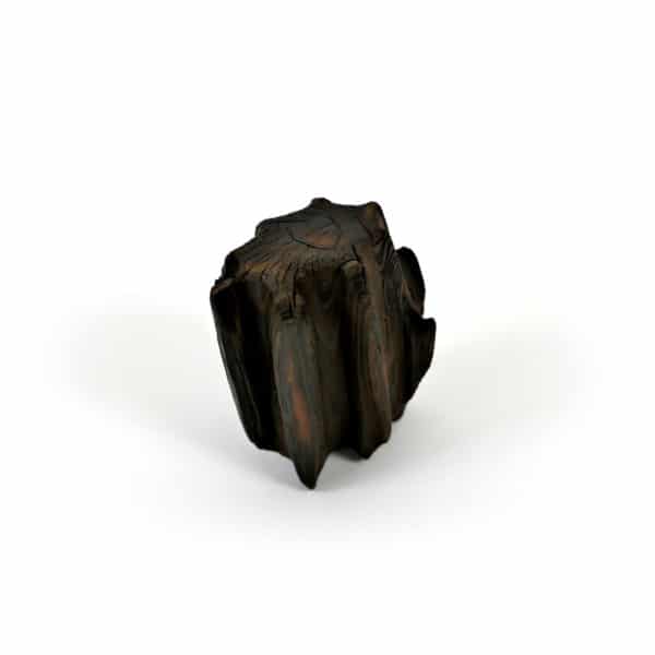 Bûche Sacrée # S4 – Image 3