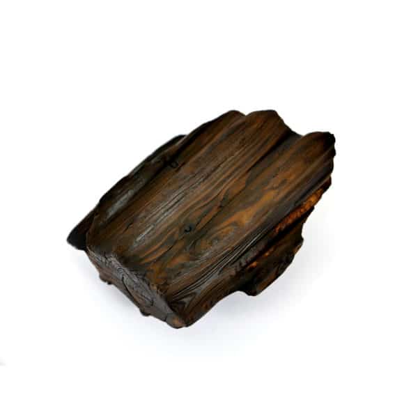 Bûche Sacrée # S4 – Image 7